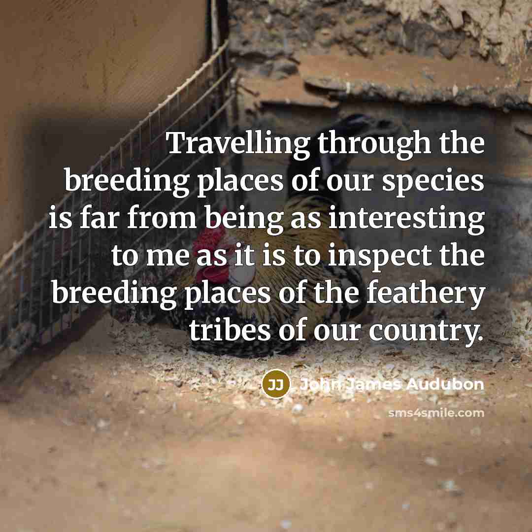 “Travelling through the breeding places of our species is far…” quote by John James Audubon