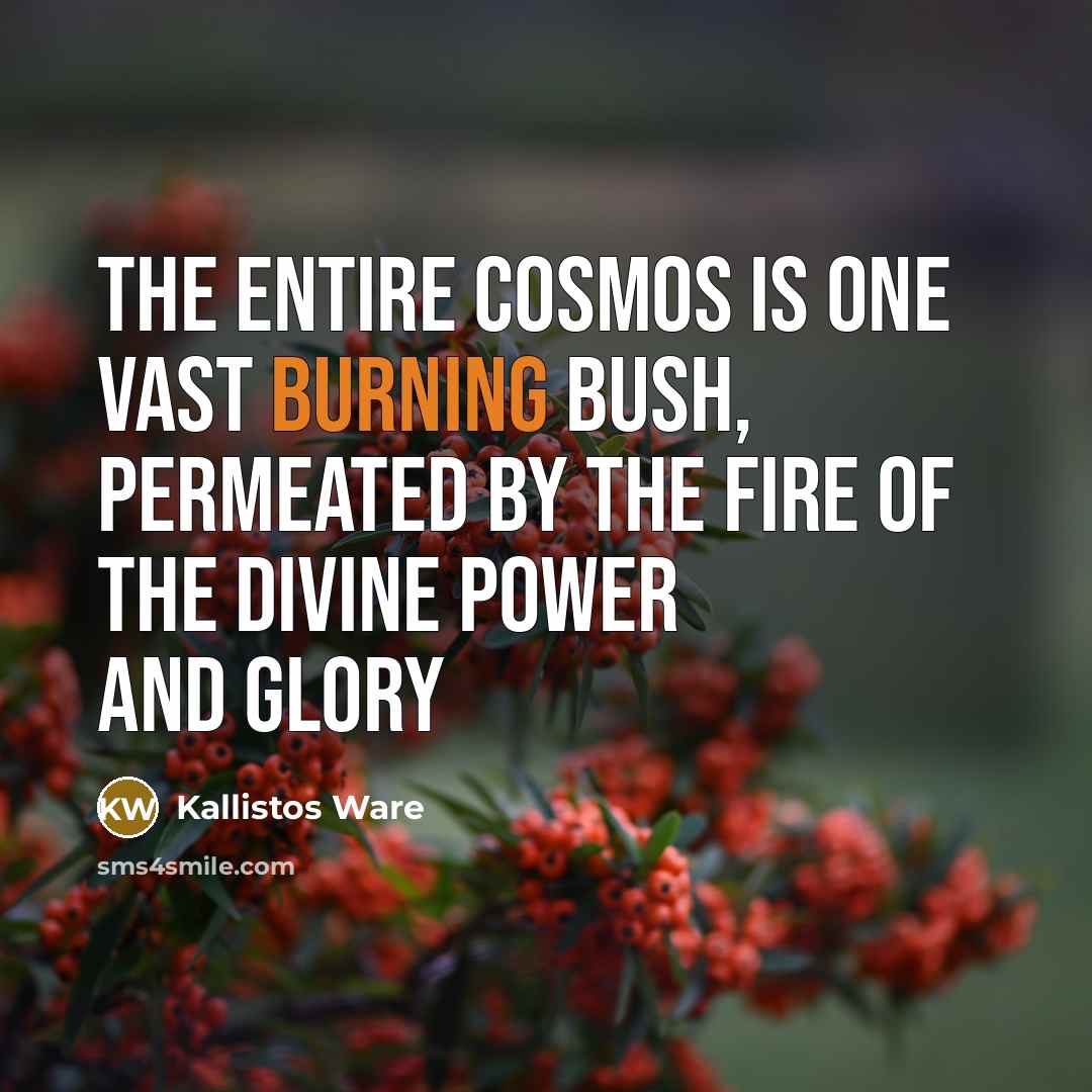 “The entire cosmos is one vast burning bush, permeated by…” quote by Kallistos Ware