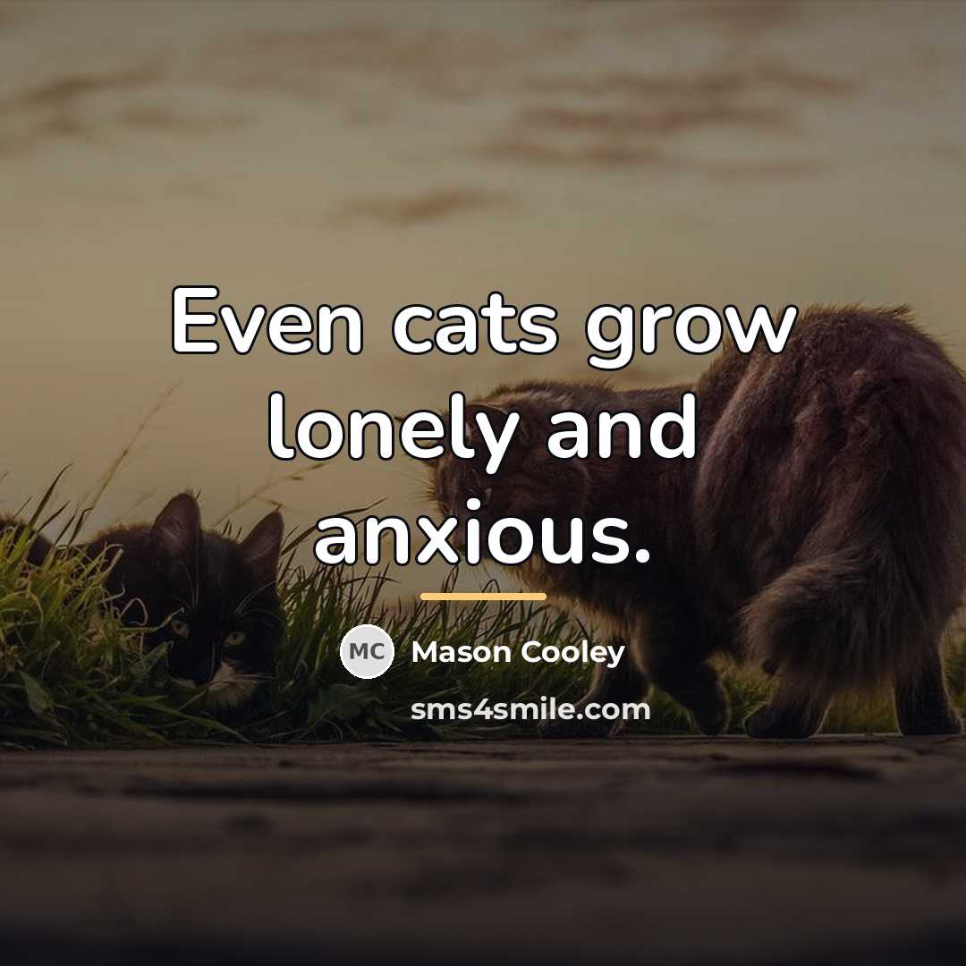 “Even cats grow lonely and anxious.…” quote by Mason Cooley