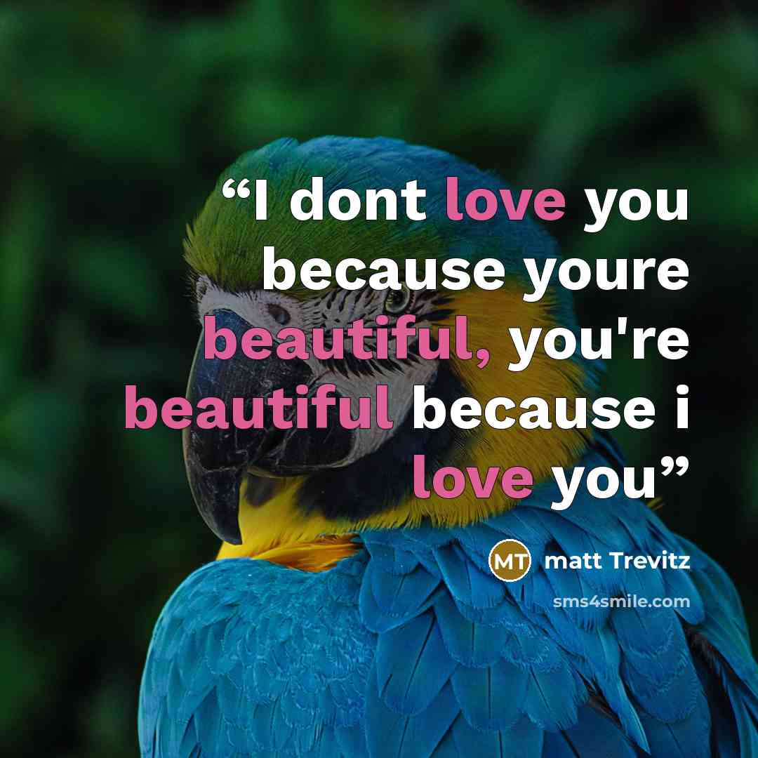 “I dont love you because youre beautiful, you're beautiful because i love you” quote by matt Trevitz