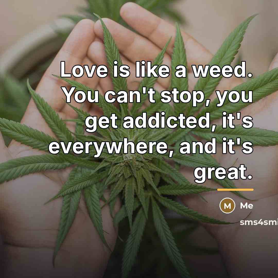 “Love is like a weed. You can't stop, you get…” quote by Me