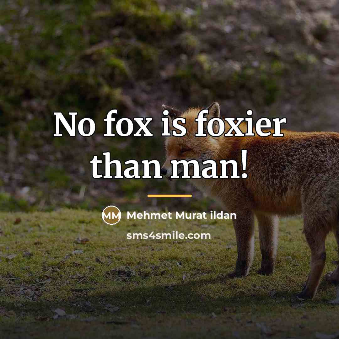 “No fox is foxier than man!…” quote by Mehmet Murat Ildan