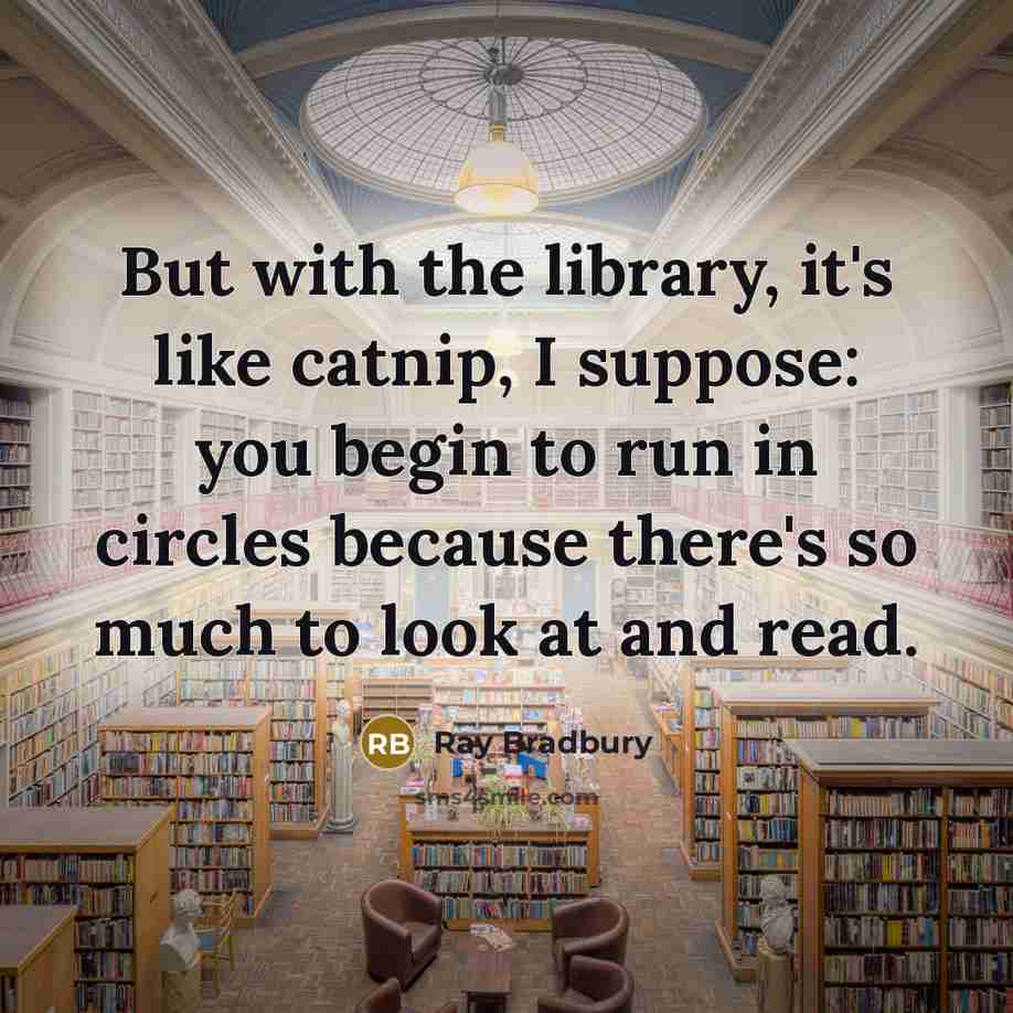 “But with the library, it's like catnip, I suppose: you…” quote by Ray Bradbury