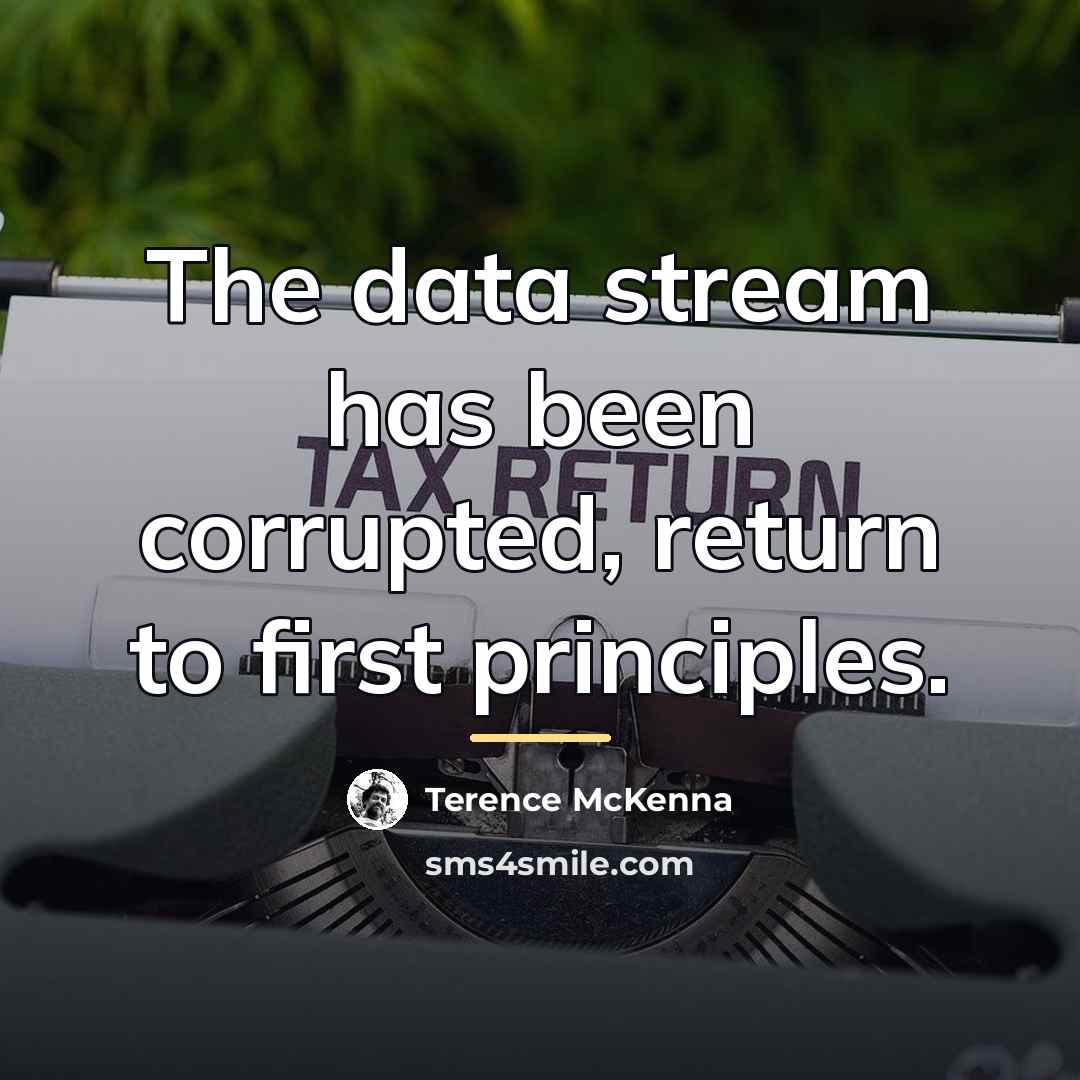 “The data stream has been corrupted, return to first principles.…” quote by Terence McKenna