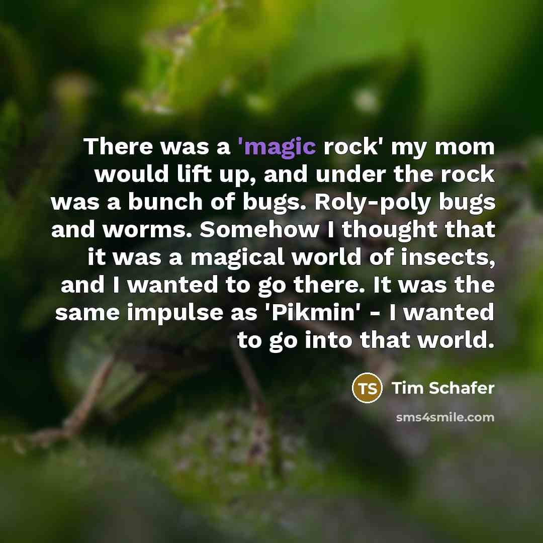 “There was a 'magic rock' my mom would lift up,…” quote by Tim Schafer