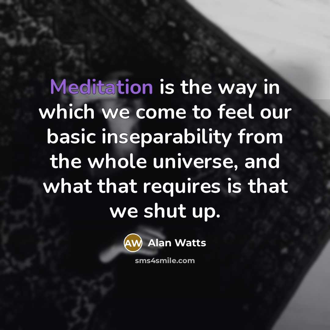 “Meditation is the way in which we come to feel…” quote by Alan Watts