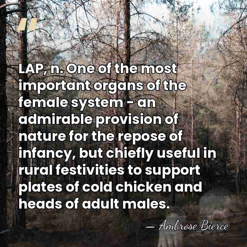 LAP, n. One of the most important organs of the female system&hellip; - Ambrose Bierce