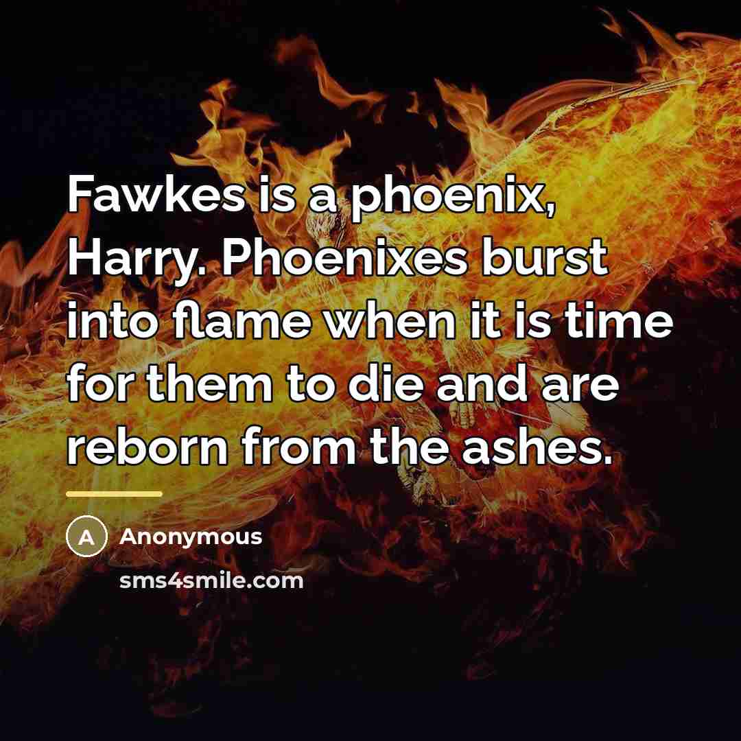 “Fawkes is a phoenix, Harry. Phoenixes burst into flame when…” quote by Anonymous