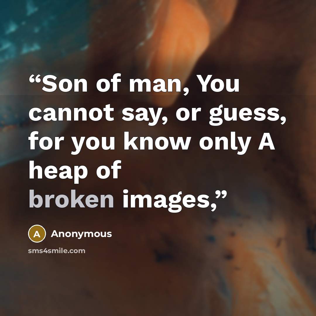 “Son of man, You cannot say, or guess, for you know only A heap of broken images,” quote by Anonymous