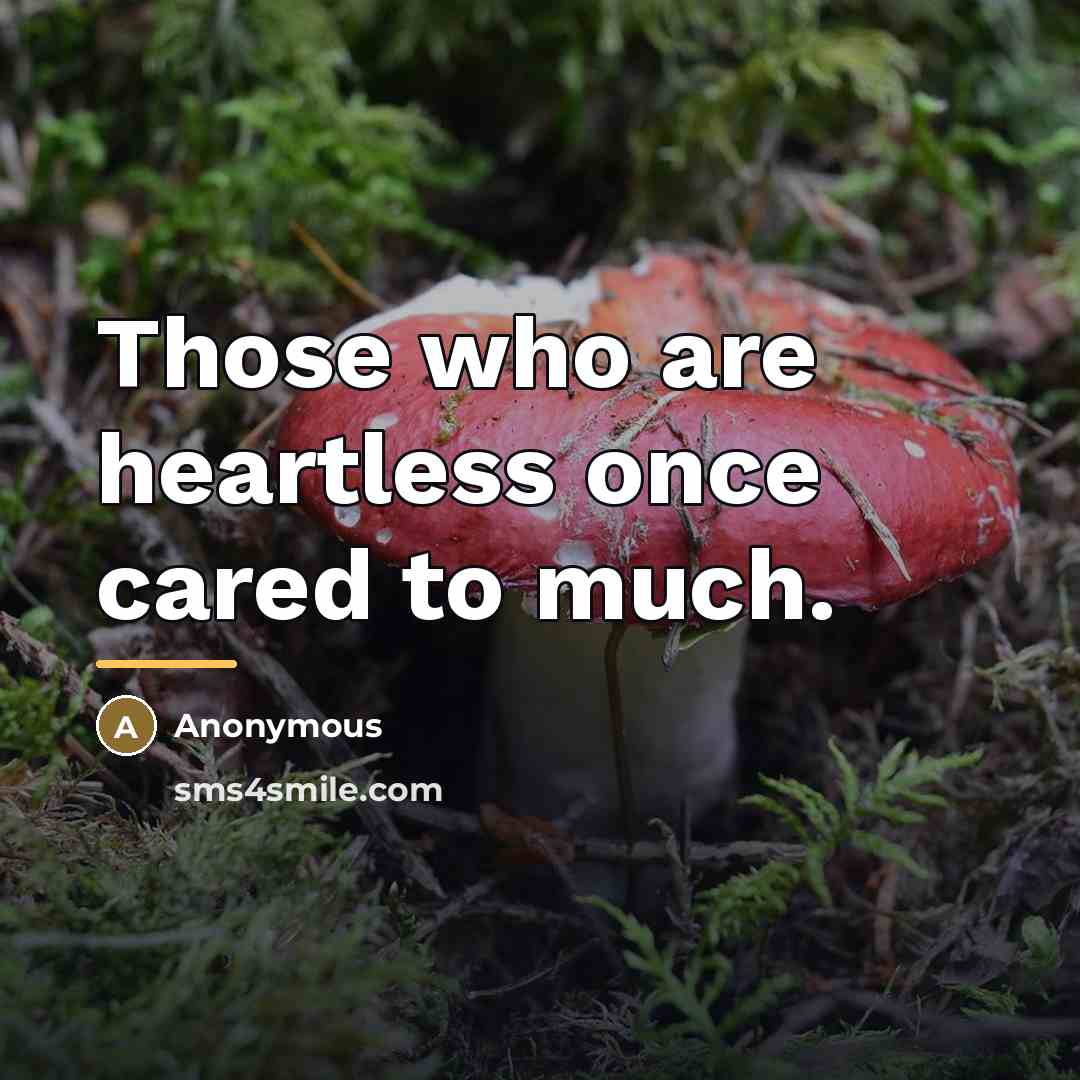 “Those who are heartless once cared to much.…” quote by Anonymous
