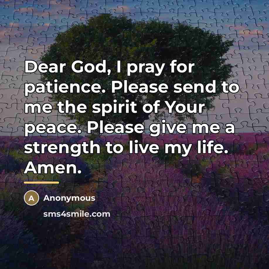 “Dear God, I pray for patience. Please send to me…” quote by Anonymous