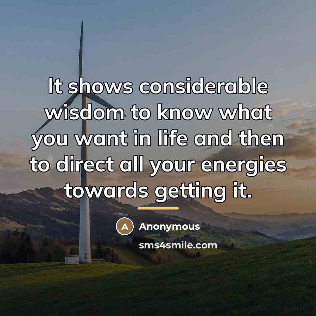 “It shows considerable wisdom to know what you want in…” quote by Anonymous