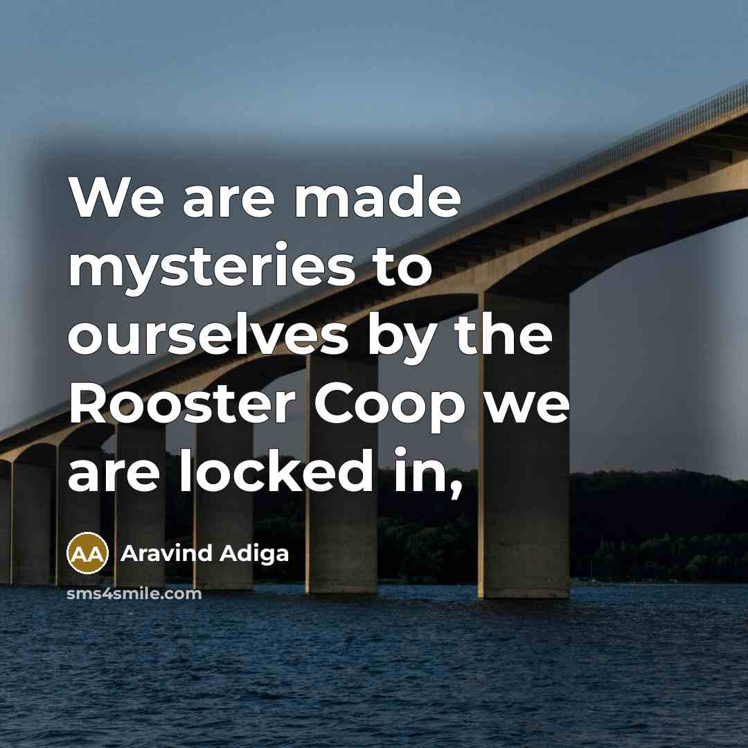 “We are made mysteries to ourselves by the Rooster Coop…” quote by Aravind Adiga