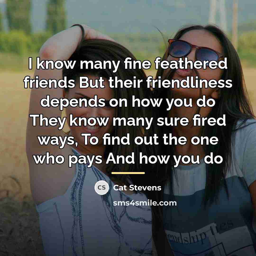 “I know many fine feathered friends But their friendliness depends…” quote by Cat Stevens