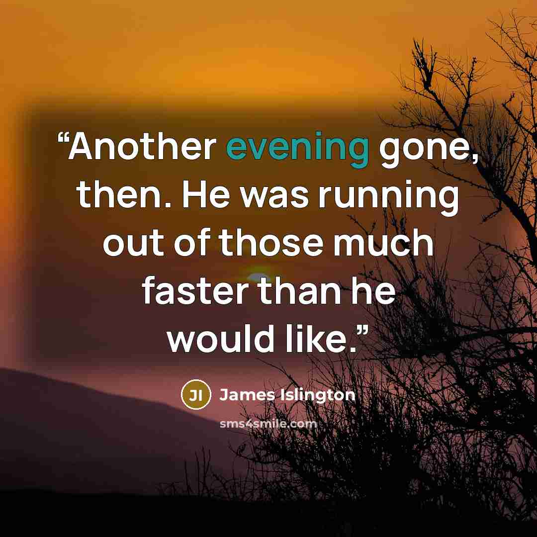 “Another evening gone, then. He was running out of those much faster than he would like.” quote by James Islington