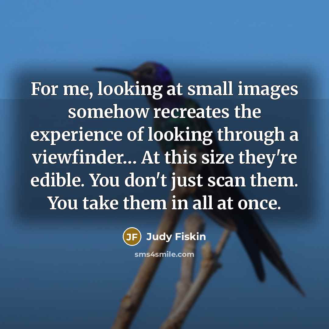“For me, looking at small images somehow recreates the experience…” quote by Judy Fiskin
