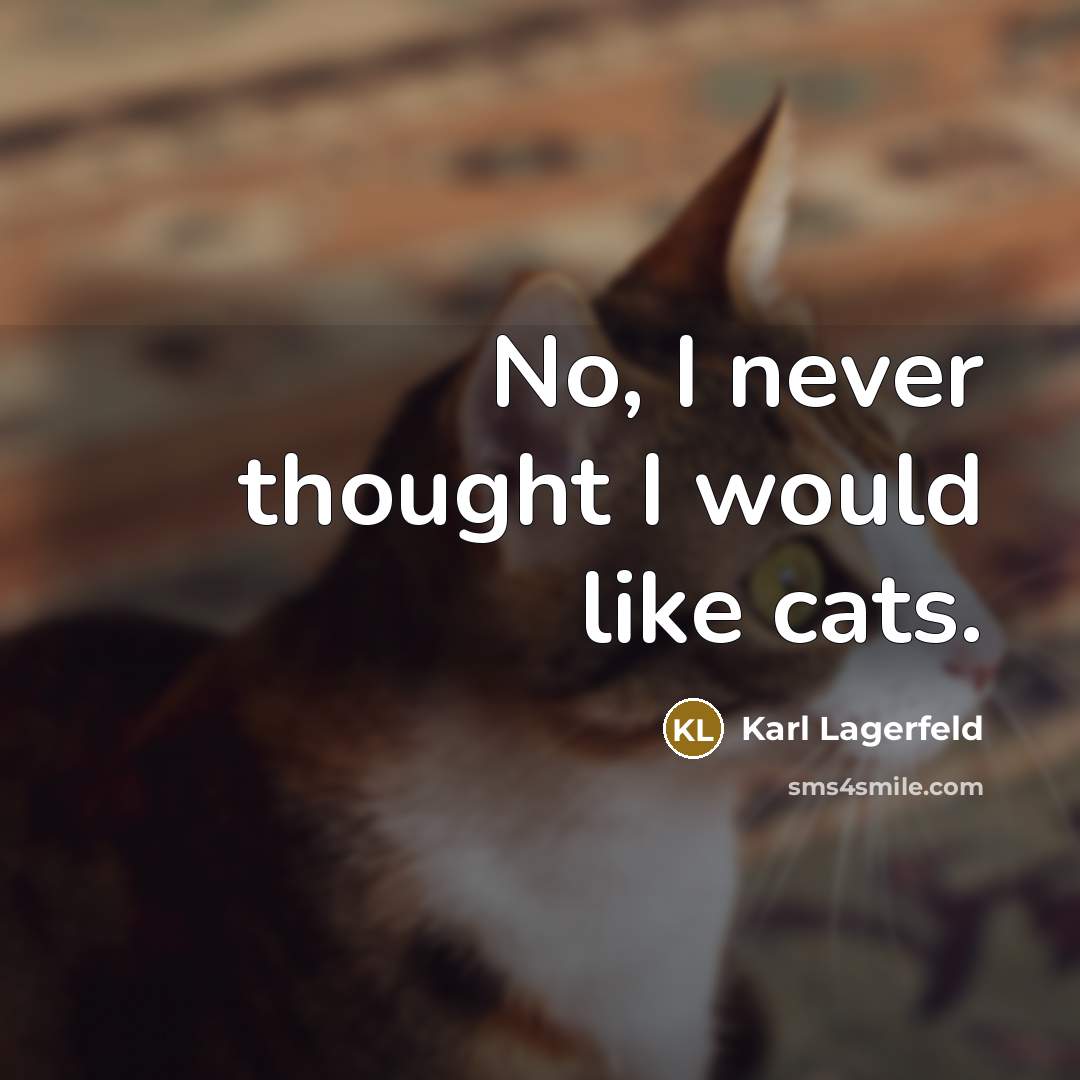 “No, I never thought I would like cats.…” quote by Karl Lagerfeld