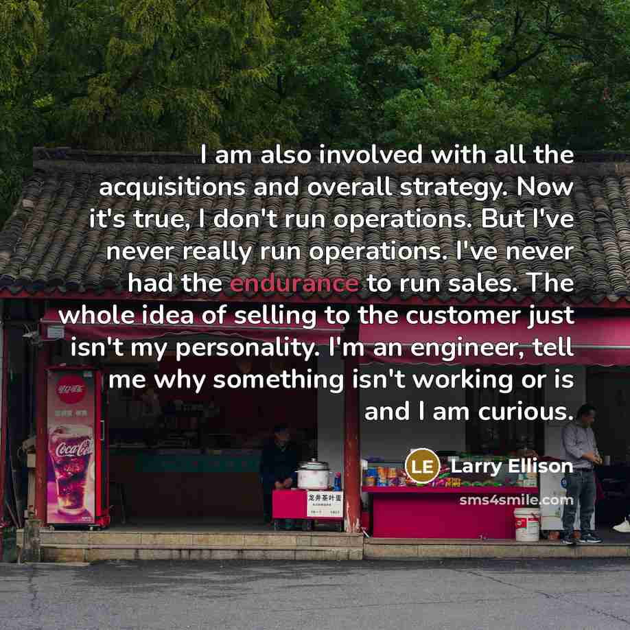 “I am also involved with all the acquisitions and overall…” quote by Larry Ellison