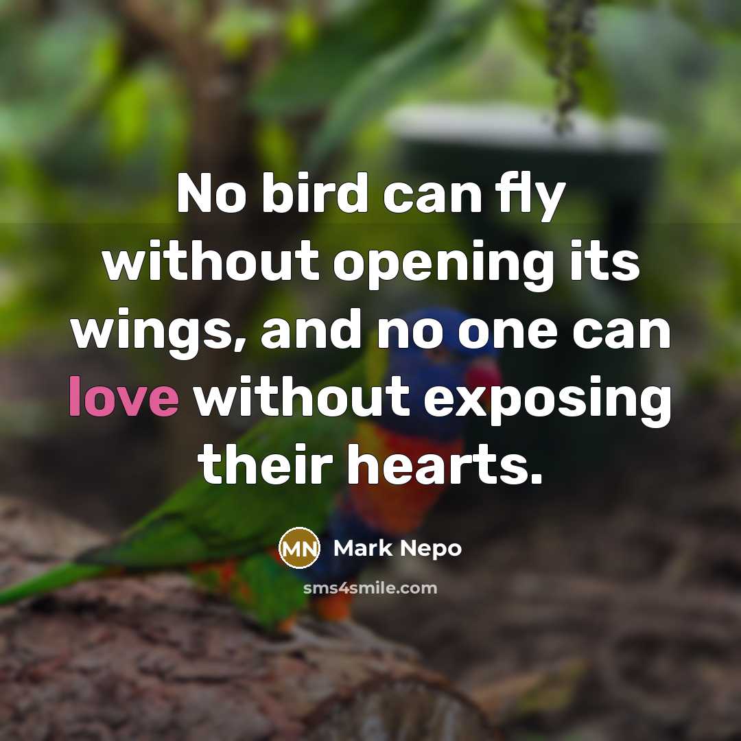 “No bird can fly without opening its wings, and no…” quote by Mark Nepo