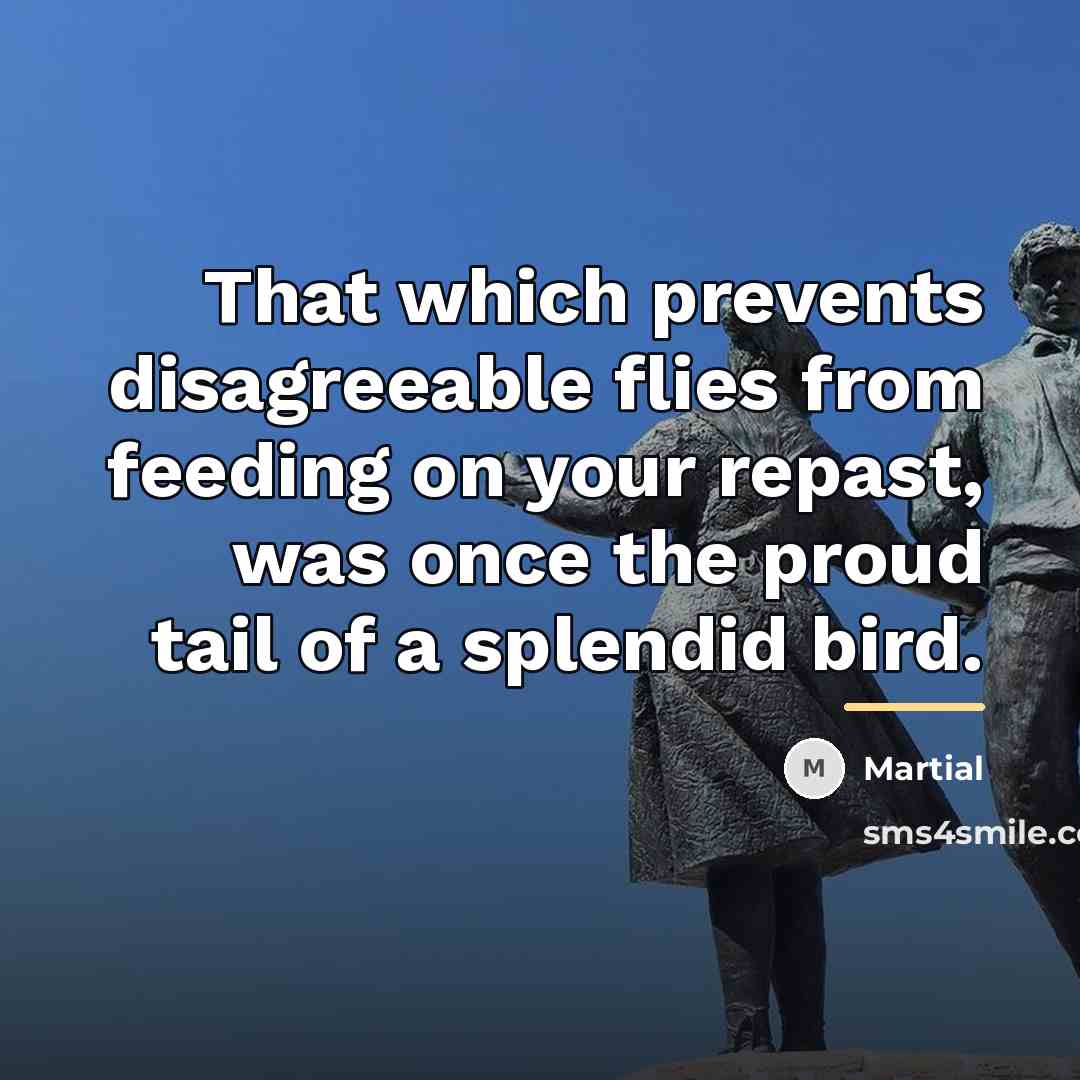 “That which prevents disagreeable flies from feeding on your repast,…” quote by Martial
