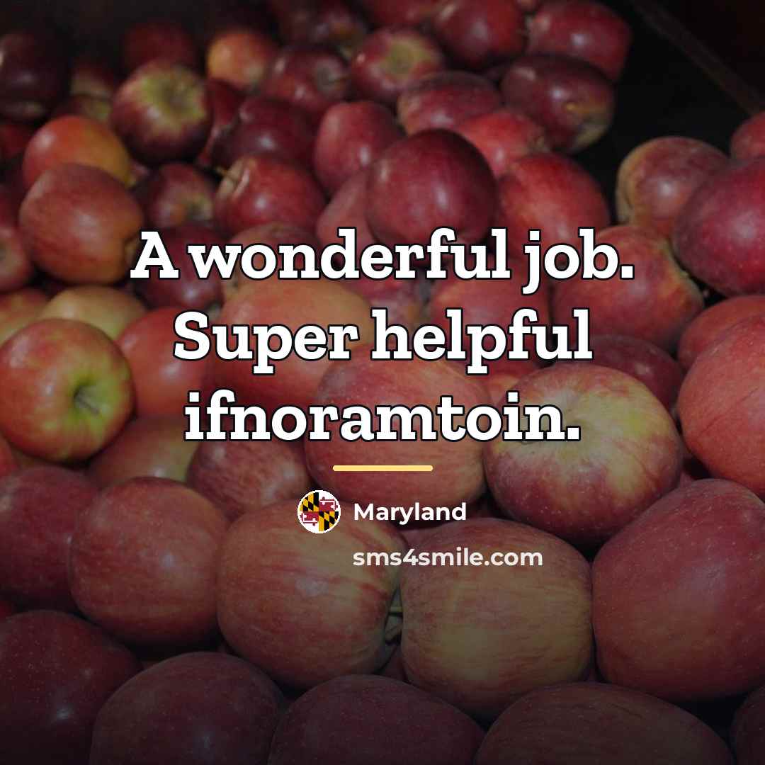 “A wonderful job. Super helpful ifnoramtoin.…” quote by Maryland