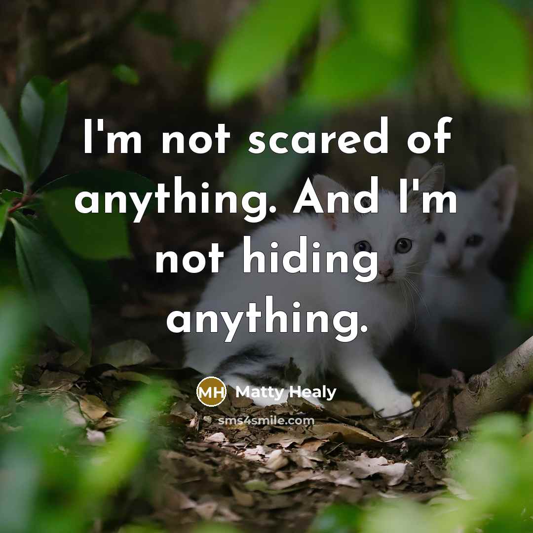 “I'm not scared of anything. And I'm not hiding anything.…” quote by Matty Healy