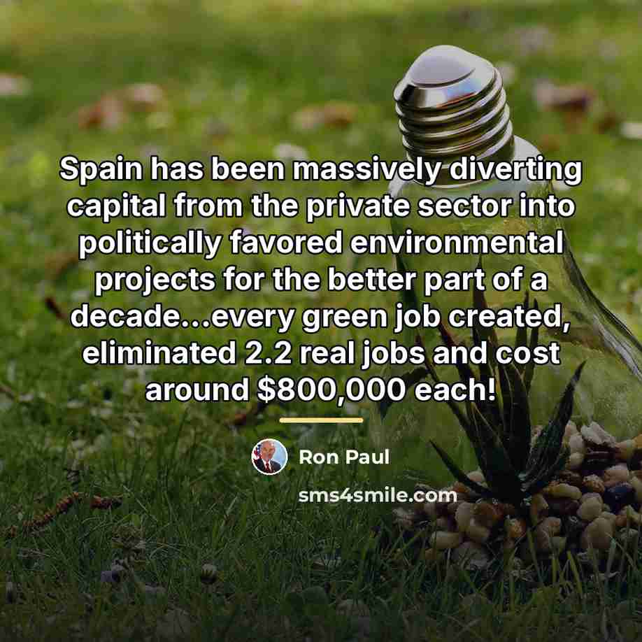 “Spain has been massively diverting capital from the private sector…” quote by Ron Paul