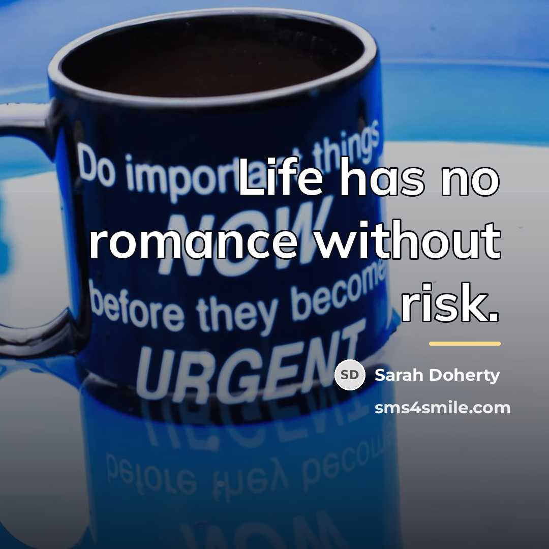 “Life has no romance without risk.…” quote by Sarah Doherty