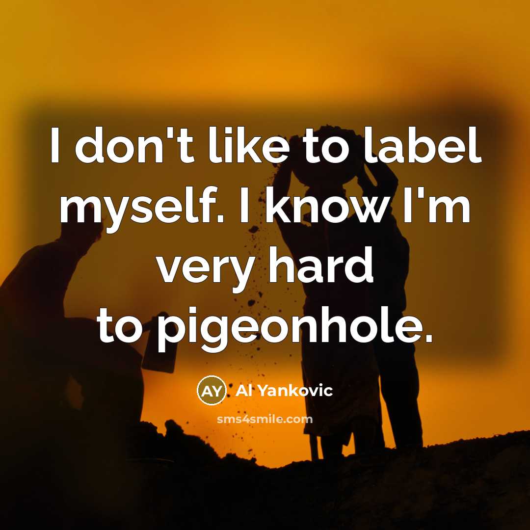 “I don't like to label myself. I know I'm very…” quote by Al Yankovic