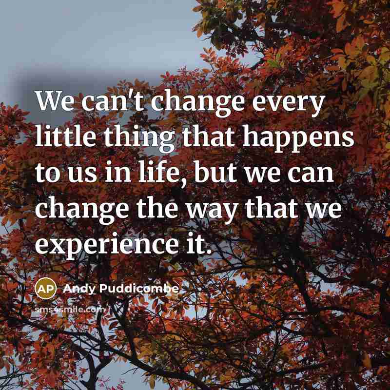 “We can't change every little thing that happens to us…” quote by Andy Puddicombe