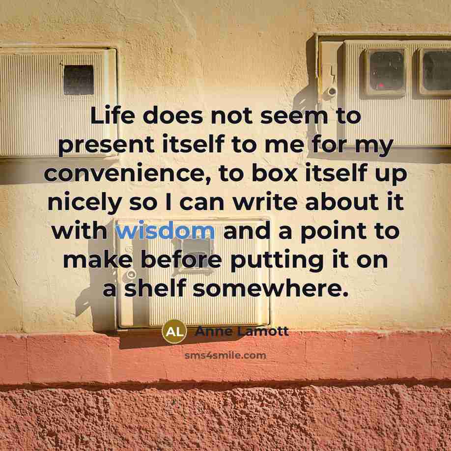“Life does not seem to present itself to me for…” quote by Anne Lamott