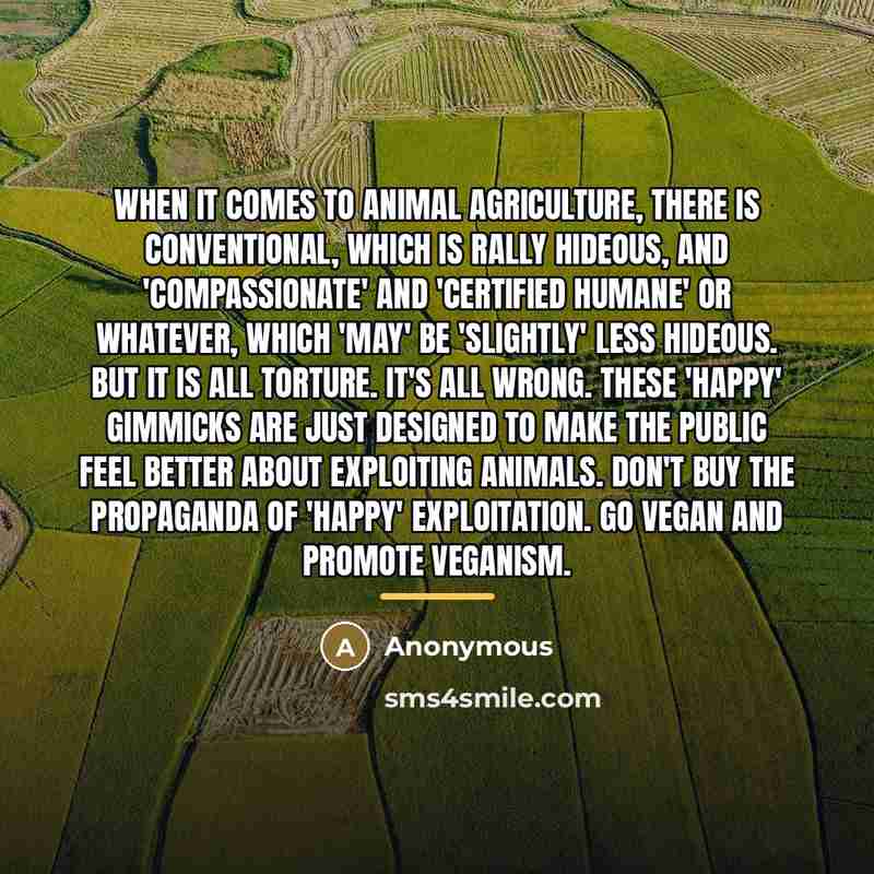 “When it comes to animal agriculture, there is conventional, which…” quote by Anonymous
