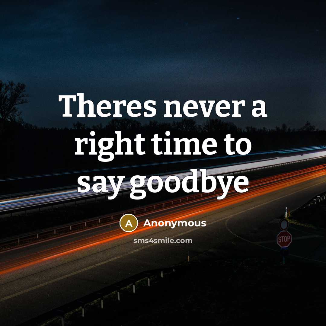 “Theres never a right time to say goodbye” quote by Anonymous