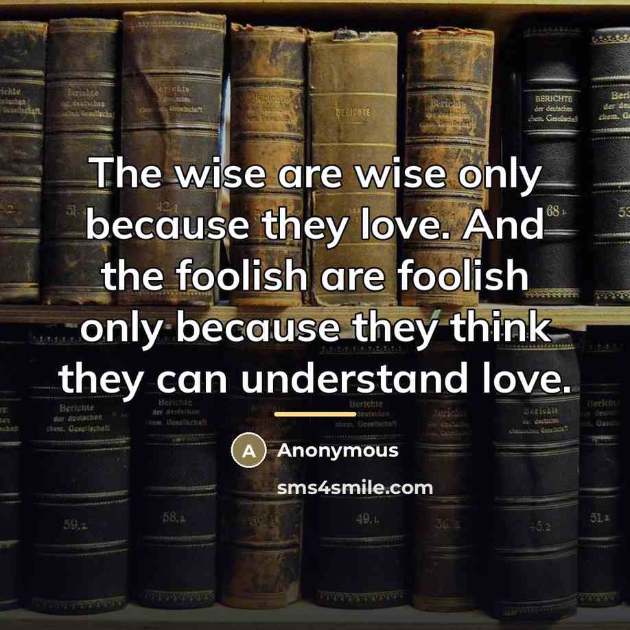 “The wise are wise only because they love. And the…” quote by Anonymous