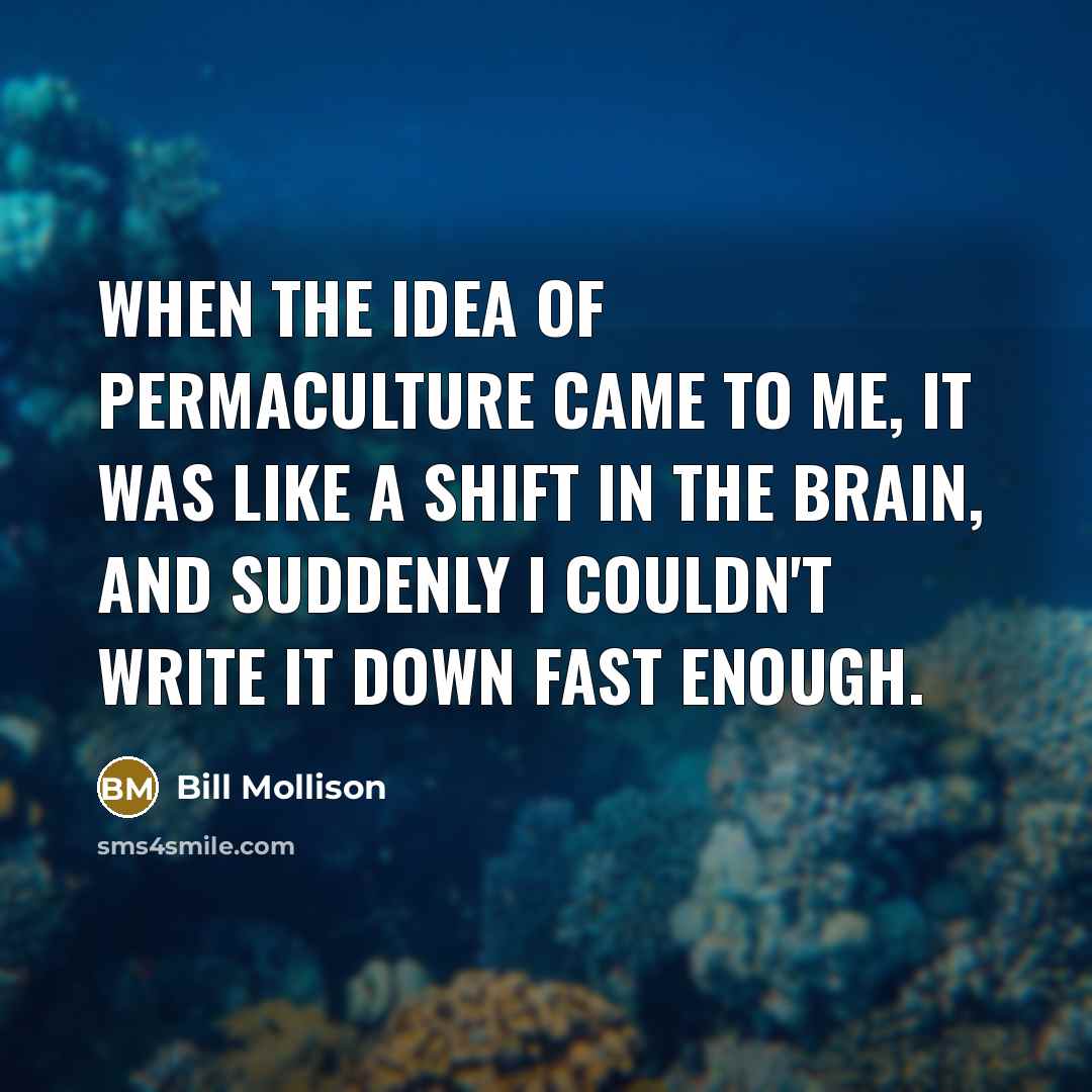 “When the idea of permaculture came to me, it was…” quote by Bill Mollison