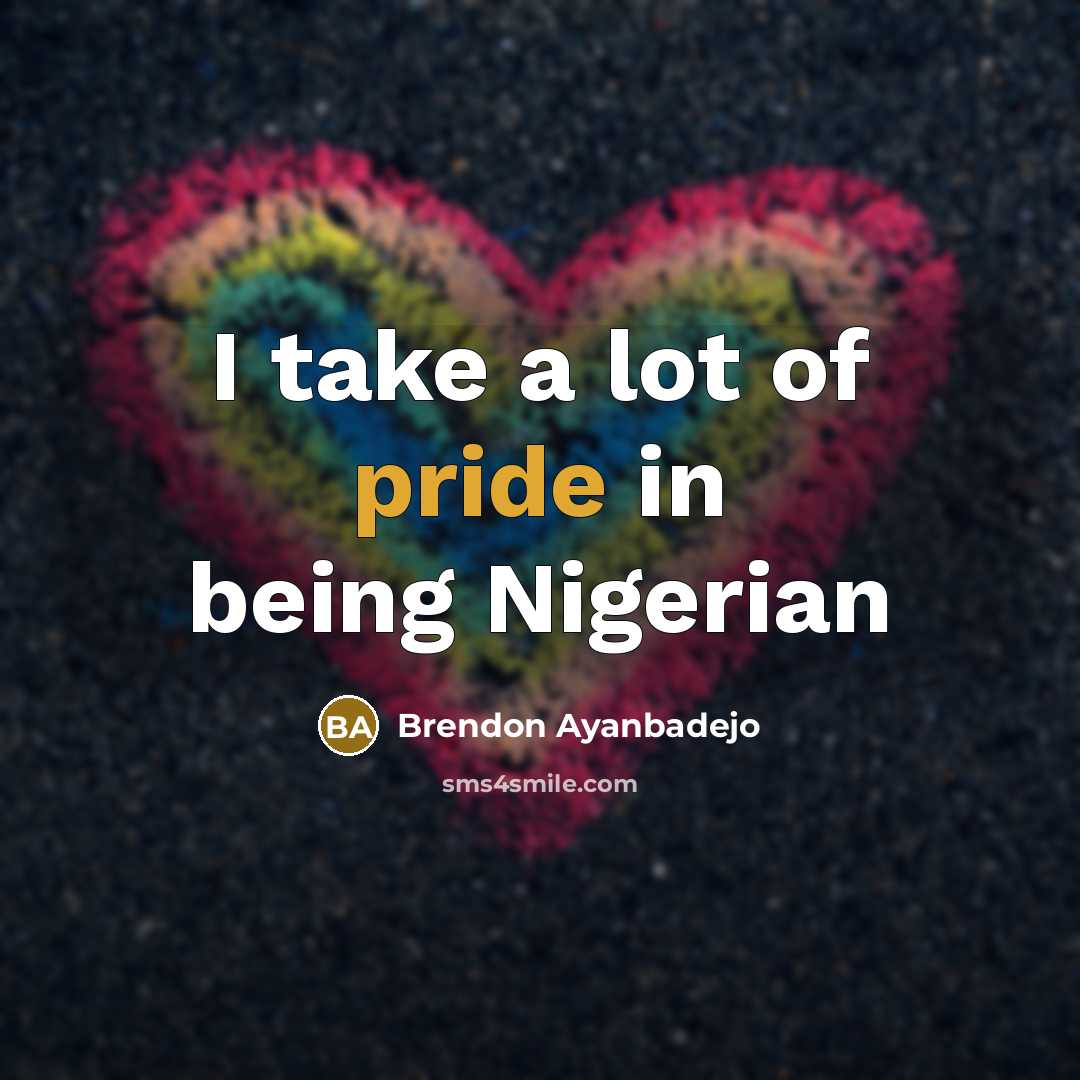 “I take a lot of pride in being Nigerian…” quote by Brendon Ayanbadejo