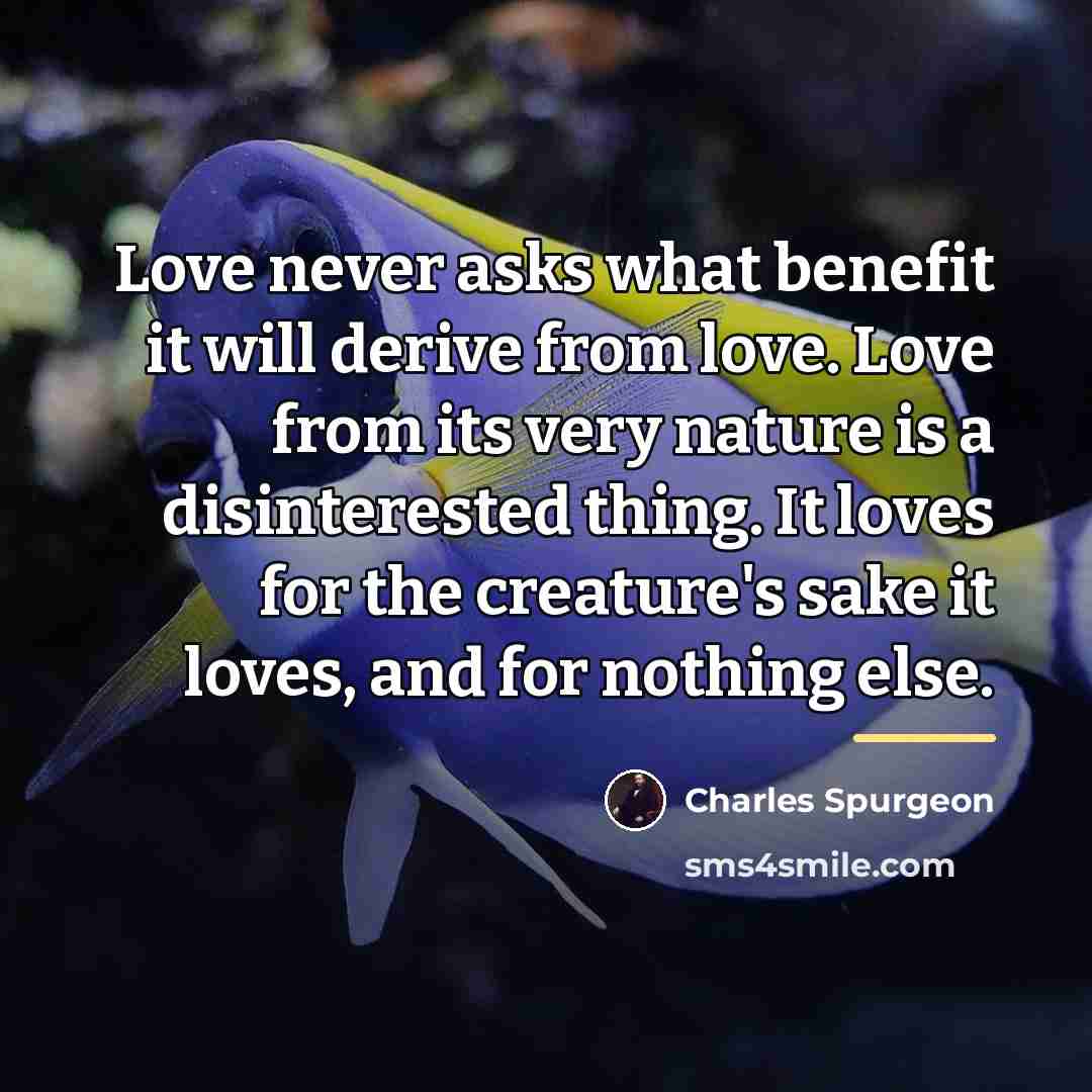 “Love never asks what benefit it will derive from love.…” quote by Charles Spurgeon