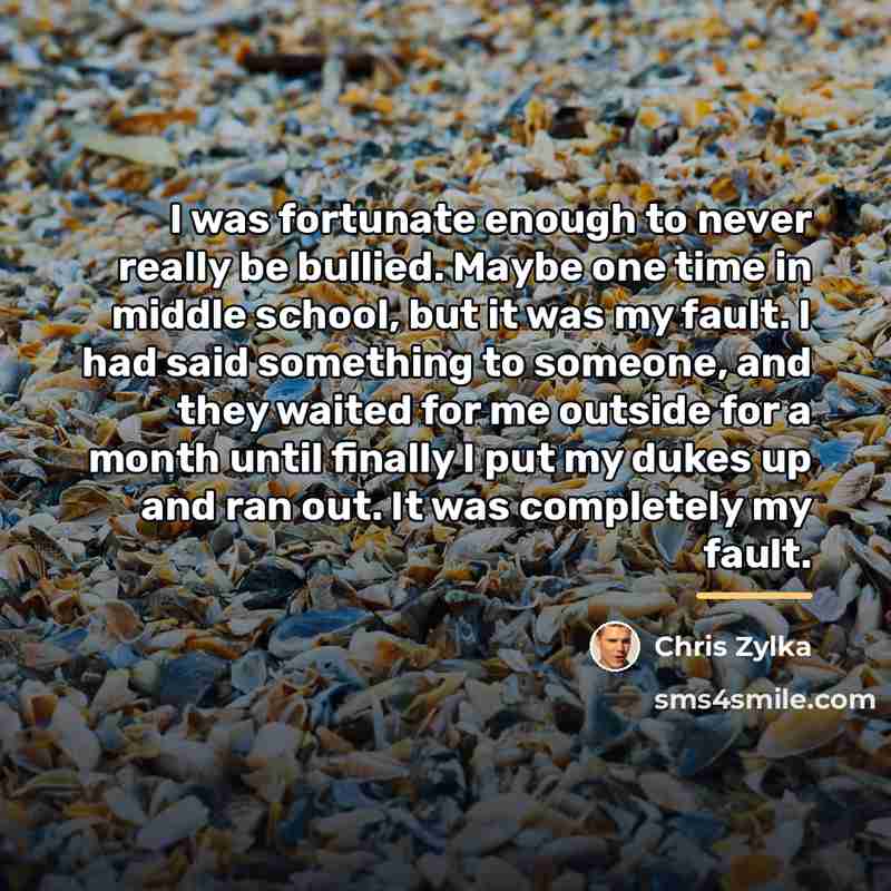“I was fortunate enough to never really be bullied. Maybe…” quote by Chris Zylka
