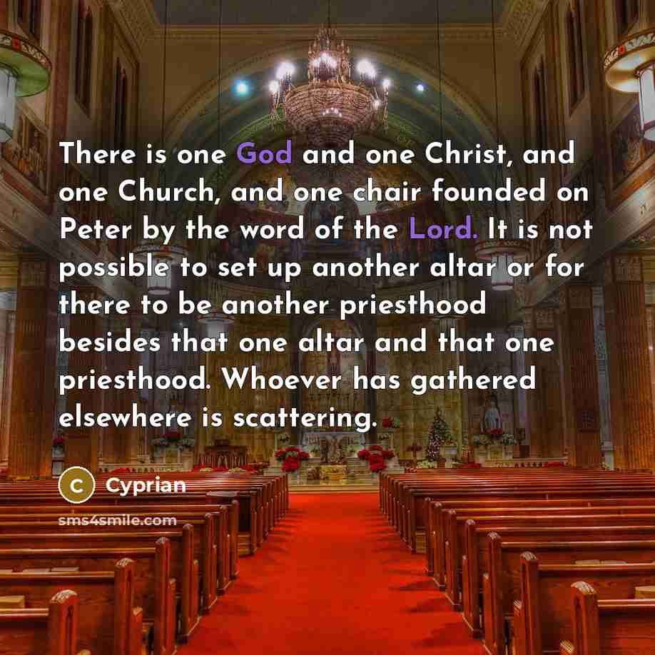 “There is one God and one Christ, and one Church, and one chair founded on Peter by the word of the Lord. It is not possible to set up another altar or for there to be another priesthood besides that one altar and that one priesthood. Whoever has gathered elsewhere is scattering.” quote by Cyprian
