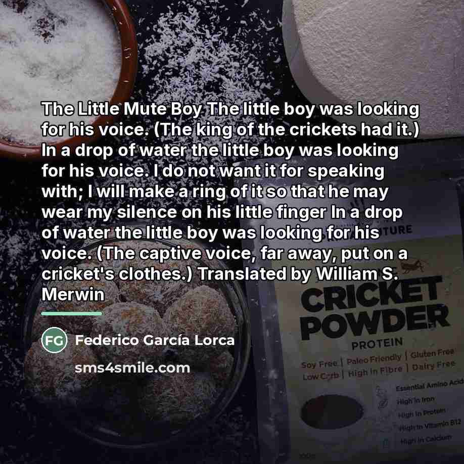 “The Little Mute Boy The little boy was looking for…” quote by Federico Garcia Lorca