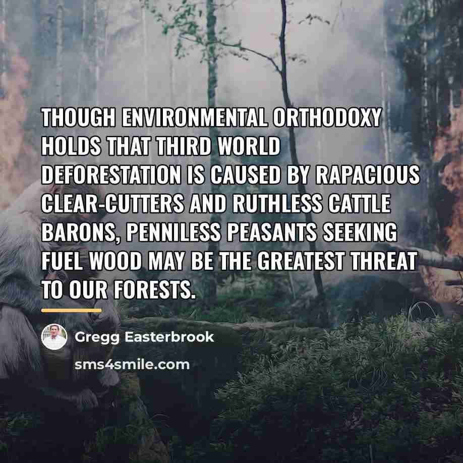 “Though environmental orthodoxy holds that Third World deforestation is caused…” quote by Gregg Easterbrook
