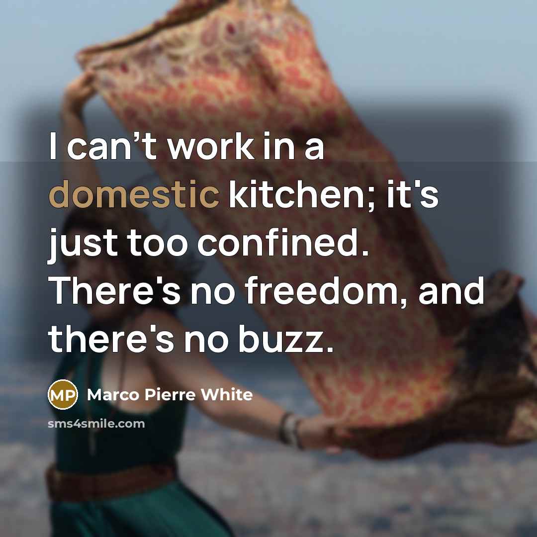 “I can't work in a domestic kitchen; it's just too…” quote by Marco Pierre White