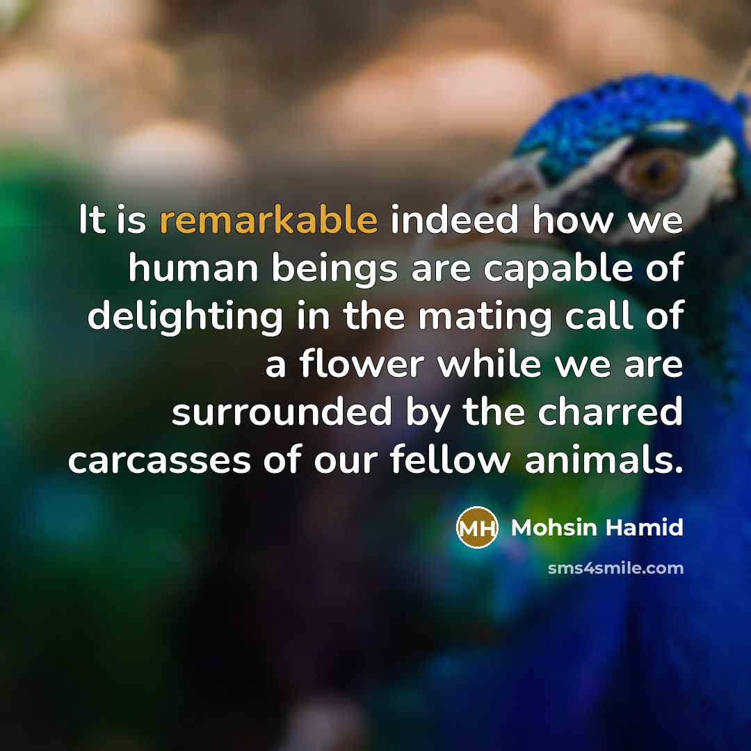 “It is remarkable indeed how we human beings are capable…” quote by Mohsin Hamid