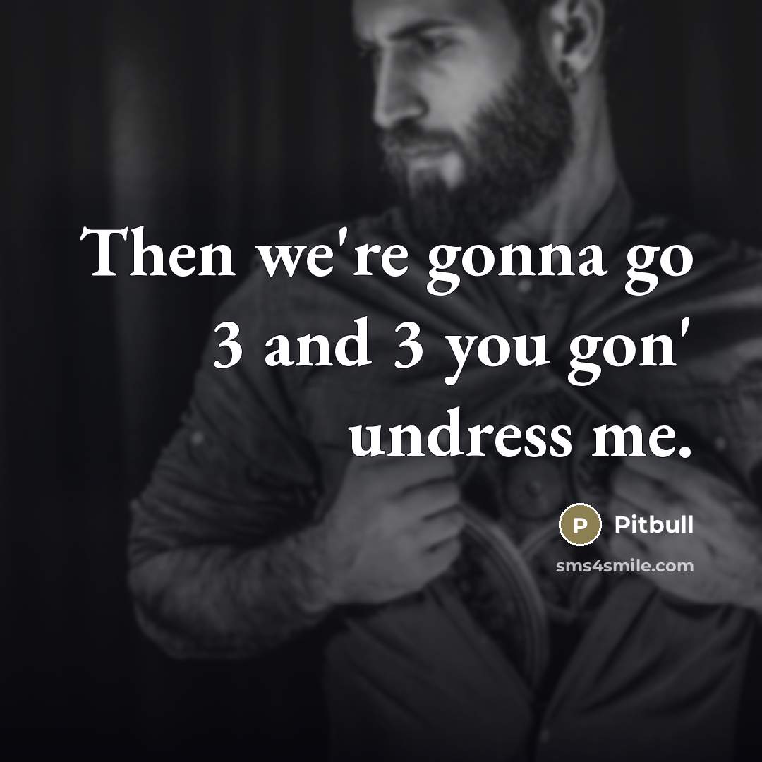 “Then we're gonna go 3 and 3 you gon' undress…” quote by Pitbull