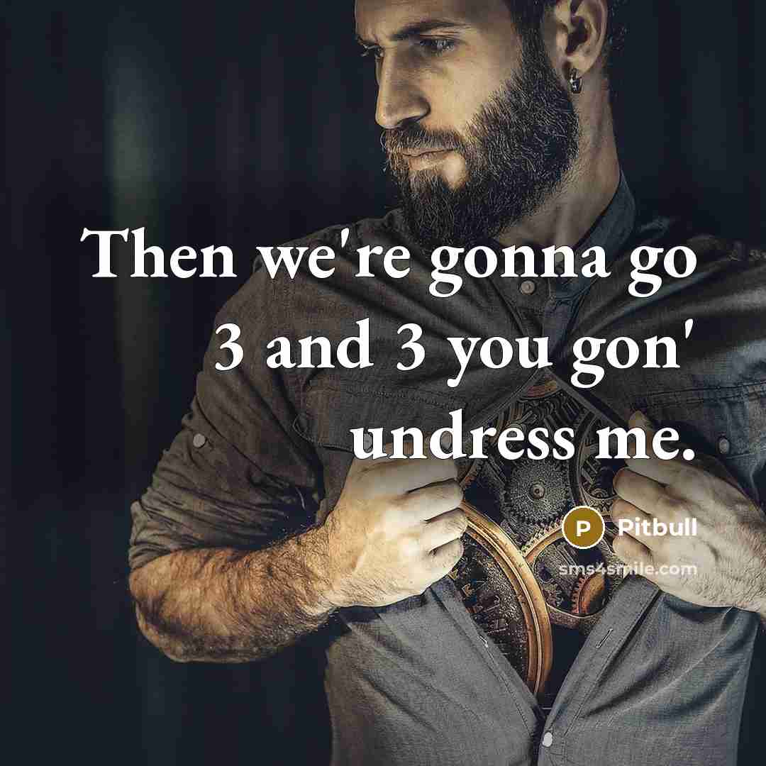 “Then we're gonna go 3 and 3 you gon' undress me.” quote by Pitbull