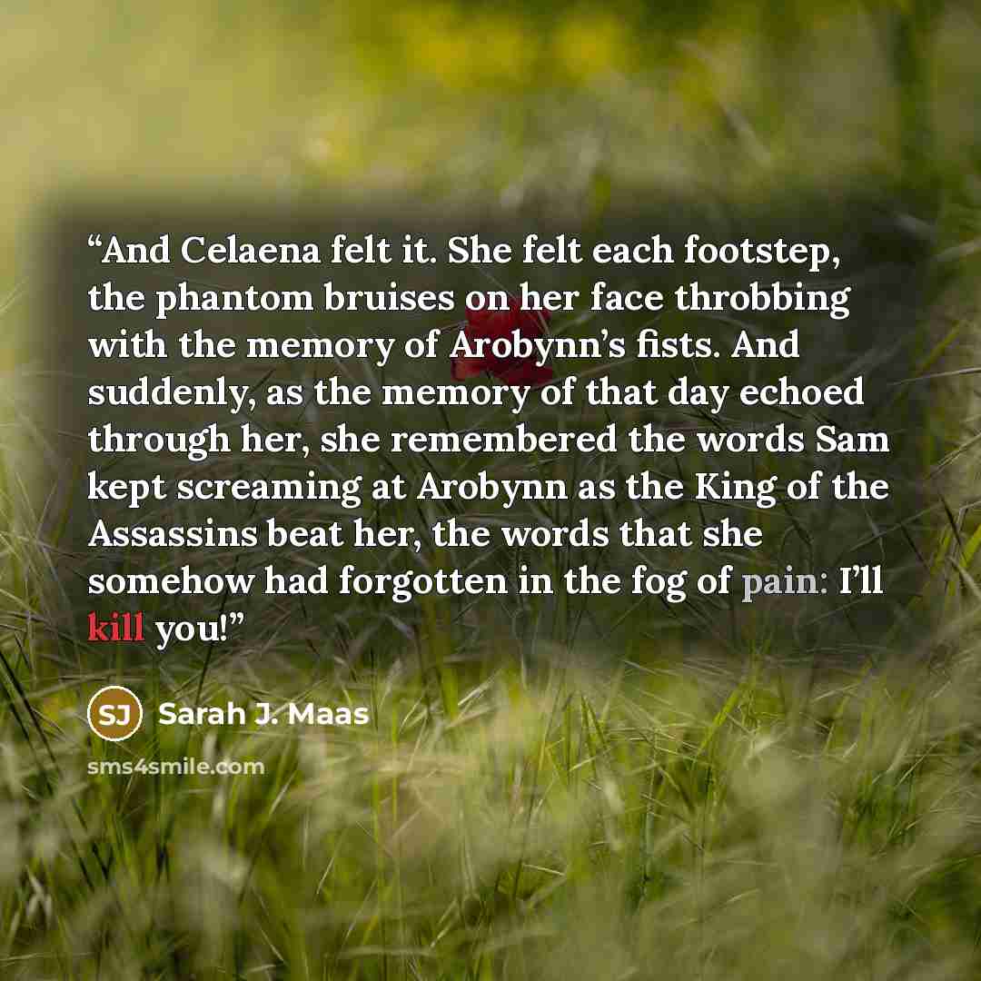 “And Celaena felt it. She felt each footstep, the phantom bruises on her face throbbing with the memory of Arobynn’s fists. And suddenly, as the memory of that day echoed through her, she remembered the words Sam kept screaming at Arobynn as the King of the Assassins beat her, the words that she…” quote by Sarah J. Maas