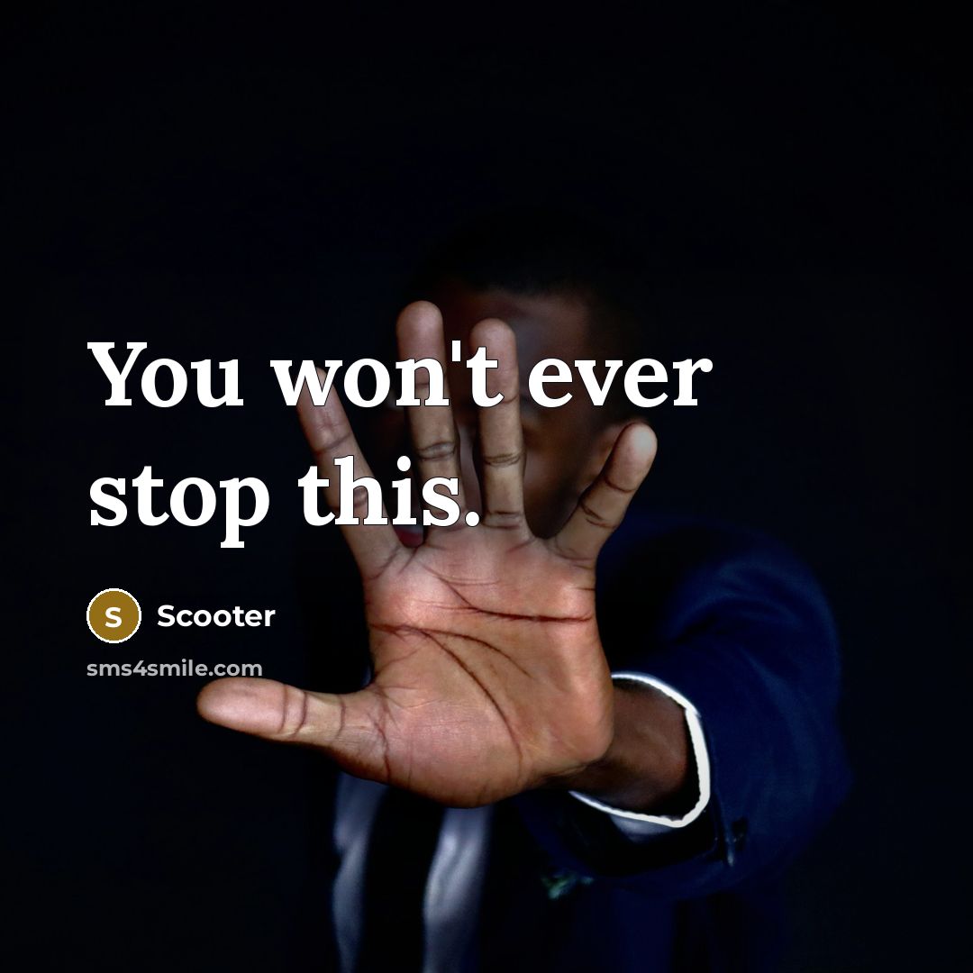“You won't ever stop this.…” quote by Scooter