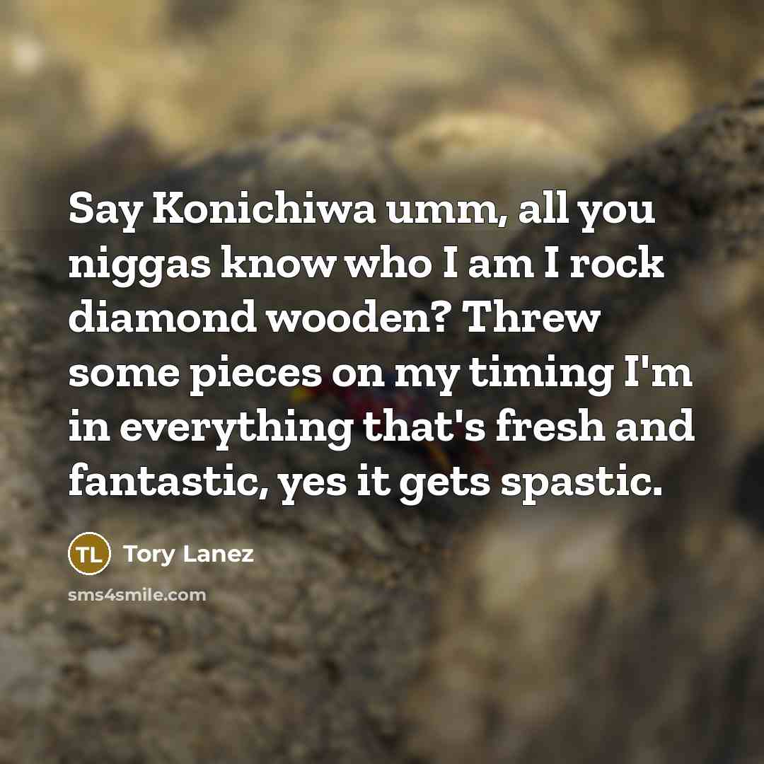 “Say Konichiwa umm, all you niggas know who I am…” quote by Tory Lanez