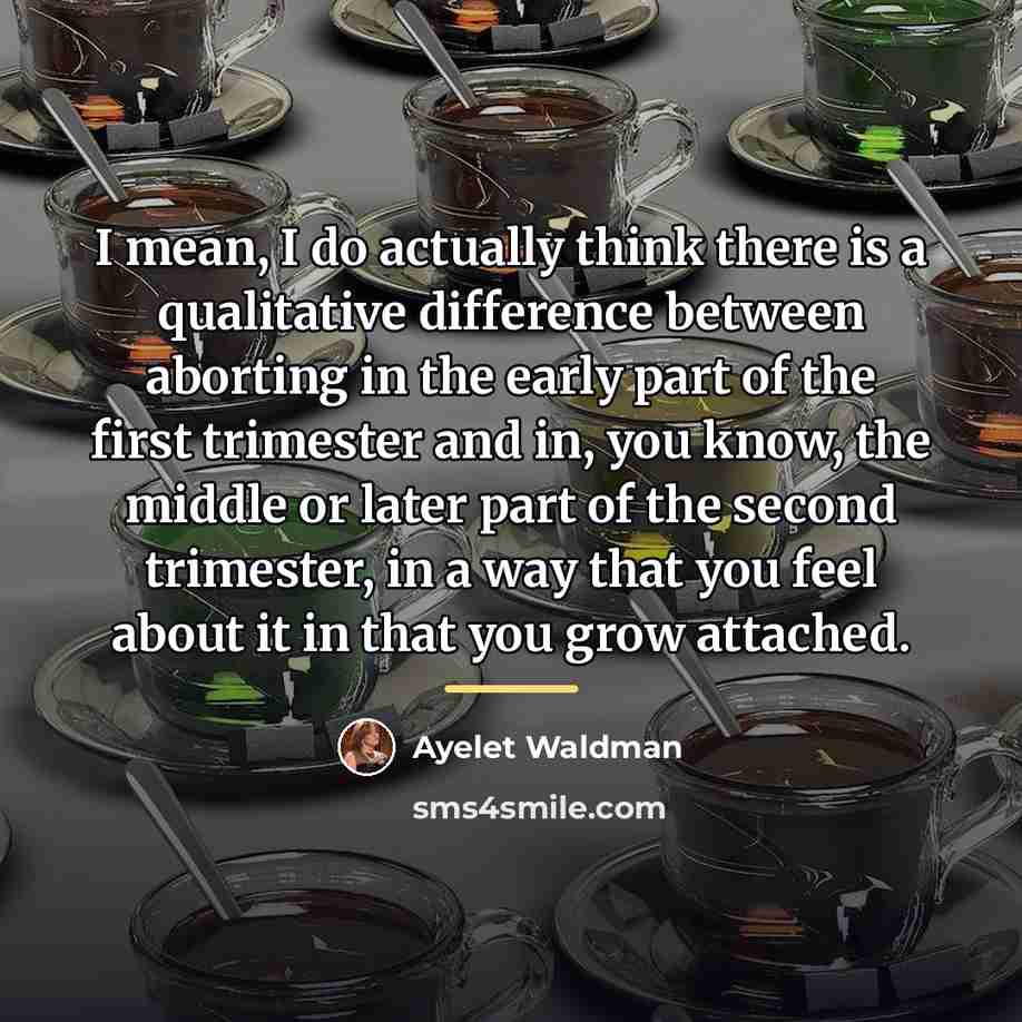 “I mean, I do actually think there is a qualitative…” quote by Ayelet Waldman