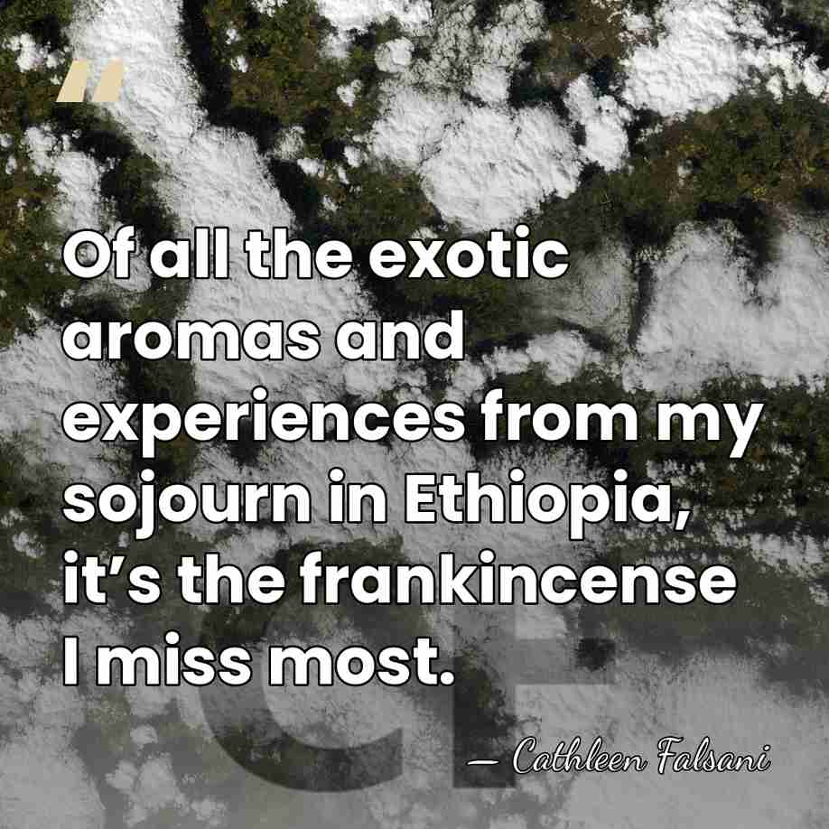 Of all the exotic aromas and experiences from my sojourn in Ethiopia,&hellip; - Cathleen Falsani